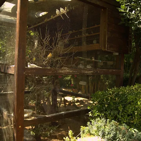 Dal Canonico Mola di Bari